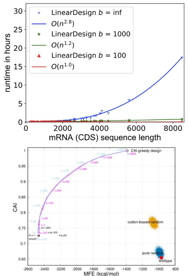 mRNA疫苗稳定性不够？百度AI算法LinearDesign给出最优解