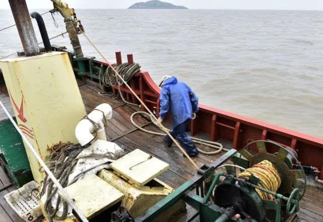 大陈岛美食特辑：神似“观音手”的海螺，还有吃海鲜长大的鸡？