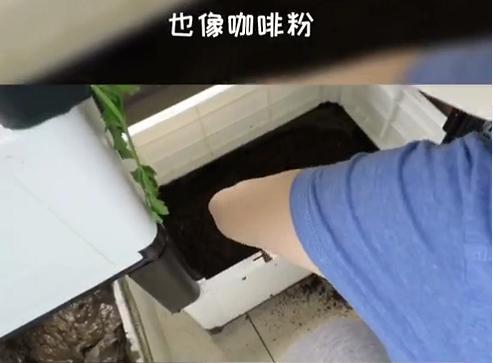 好妈妈！马蓉和女儿王子珊一起种辣椒，相互称赞超有爱