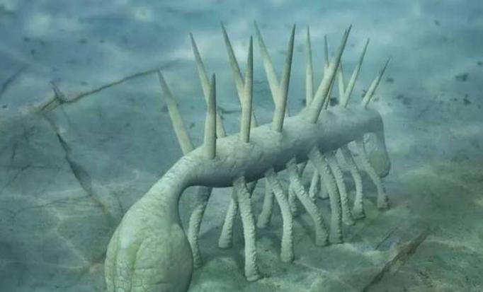 5.3亿年前的怪诞虫，被搞混了头和尾巴，古生物学家感觉很尴尬