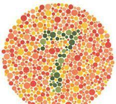 38张标准石原氏色盲检测图 看看您是不是红绿色盲