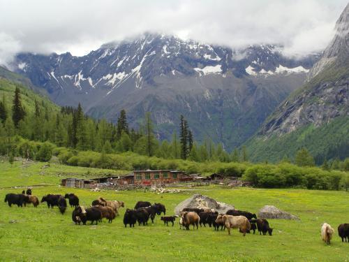 我国不该被“遗忘”的山，是四川第二高峰，高达6250米，按资排辈