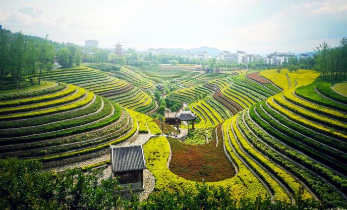 贵州奢香古镇，全国唯一城市花海梯田，过向往的生活！