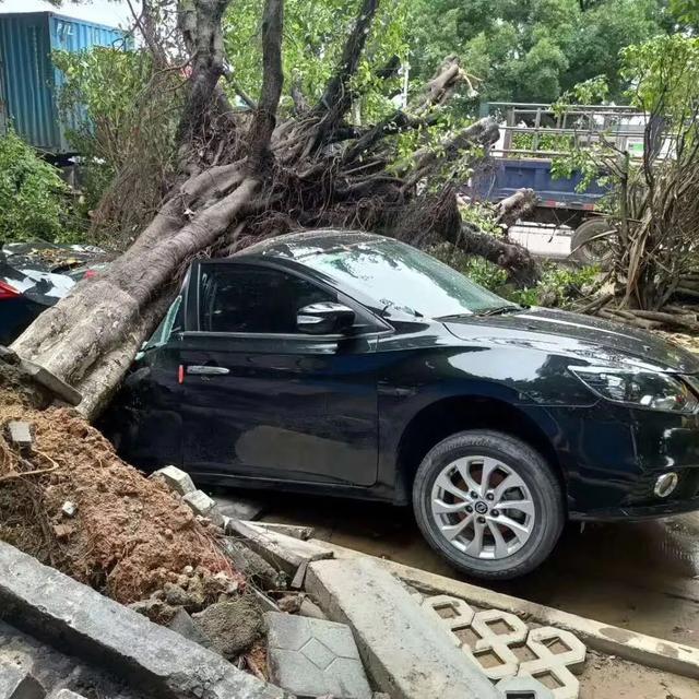 广州洪水现场，网友：保险，二手车的工作量很大