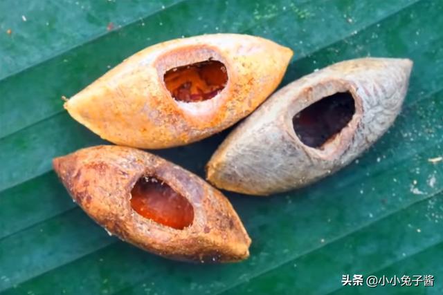 8个被证实存在的神秘生物，您听说过几种？