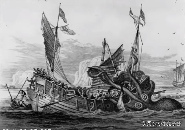 8个被证实存在的神秘生物，您听说过几种？