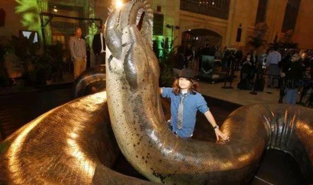 这种蟒蛇长15米, 1吨重，小伙伴们知道吗？