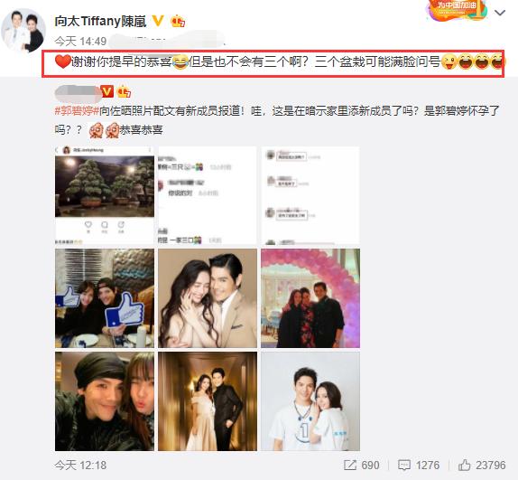 向佐疑公开郭碧婷怀孕消息，点赞博文暗讽罗志祥撒谎成性？