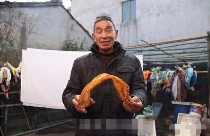 渔民珍藏一片毛鲿鱼鱼胶几十年，现在价格居然比黄金还贵