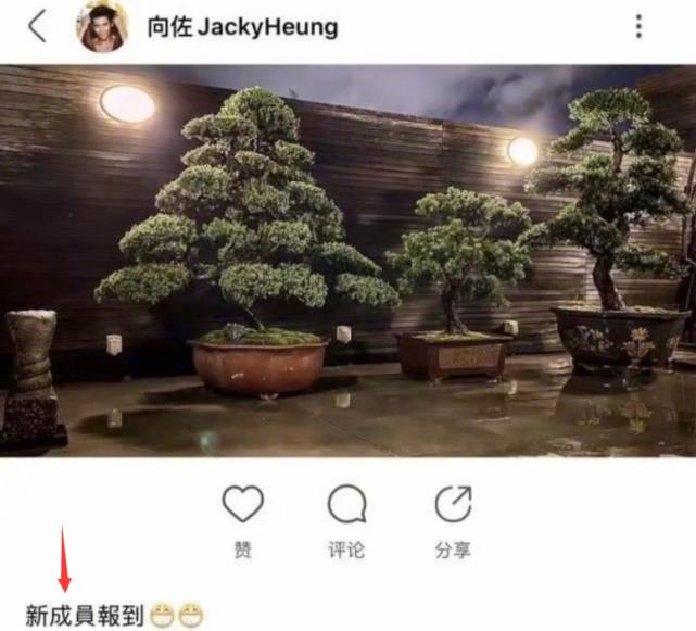 向佐疑公开郭碧婷怀孕消息，点赞博文暗讽罗志祥撒谎成性？