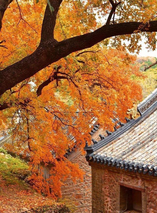 北京门头沟旅游区，古刹名扬天下，乾隆皇帝常来此拜佛赏景