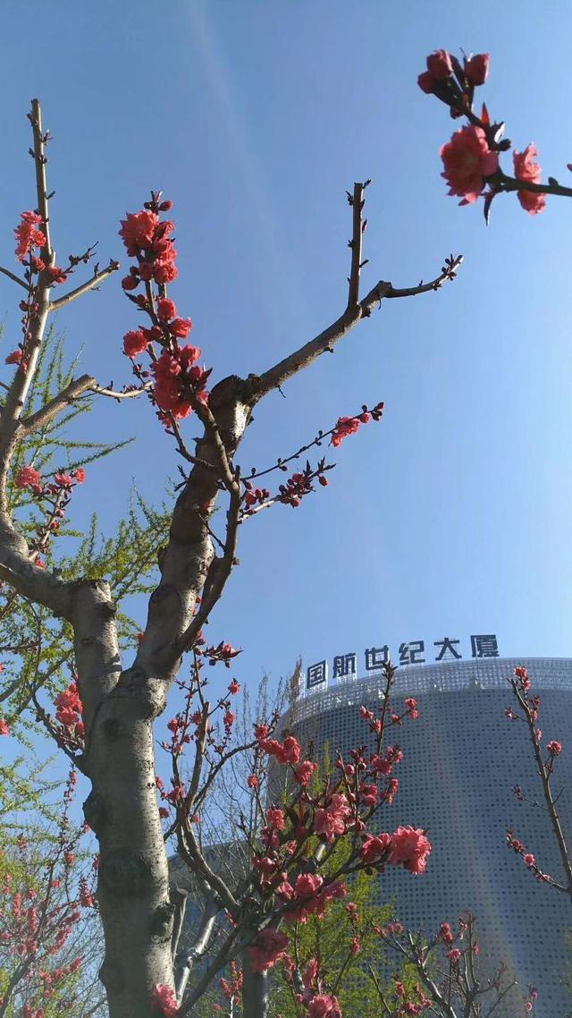 去北京旅游，首选免费景点，赏美景品美食，沐仙悦色