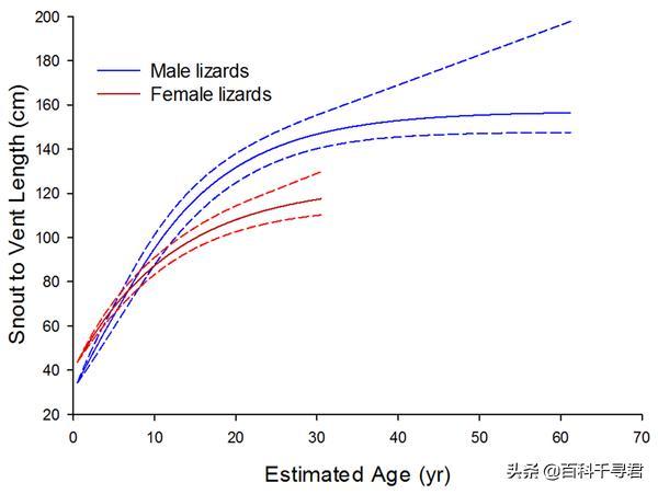 现存最大的蜥蜴，被“神话”的科莫多巨蜥，其真正实力到底如何？