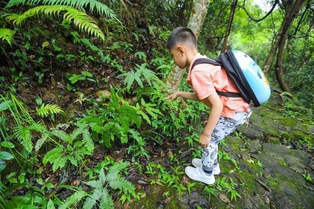 家庭教育的大智慧：让孩子走出房间亲近自然，将快乐童年还给孩子