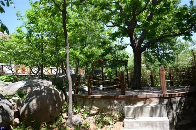藏在蓟县的会仙谷山庄室内外绿荫成片，不光凉快舒适，还美呆了！