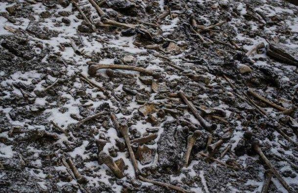海拔5000米的高原湖泊内藏有500具骸骨，尸体死因让人费解