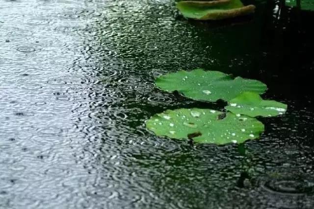 19首古诗词赏尽夏雨：古诗词里的夏雨，每一首都诗情画意！