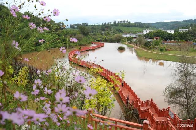 普洱湿地：万绿竞斗奇艳 天地生机盎然