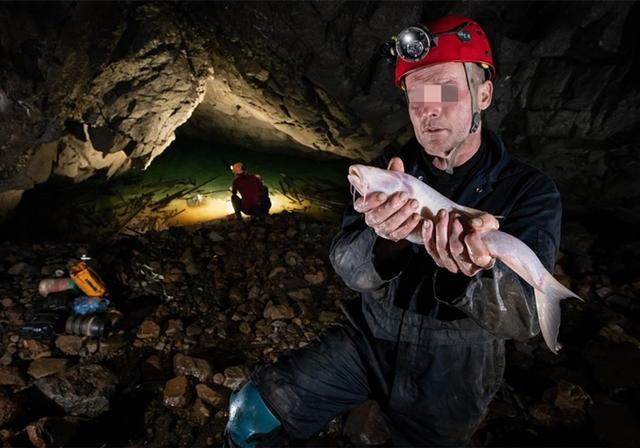 新物种？45厘米的洞穴鱼被生物学家发现，没有双眼却能在水中畅行