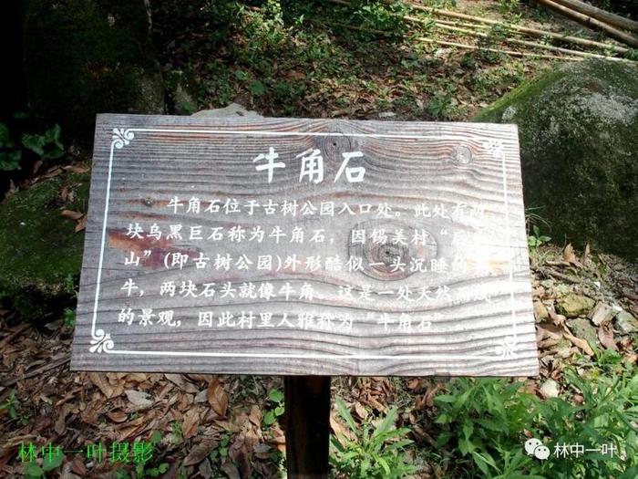 溪口网红桥·锡美村·玉瑶山庄游记