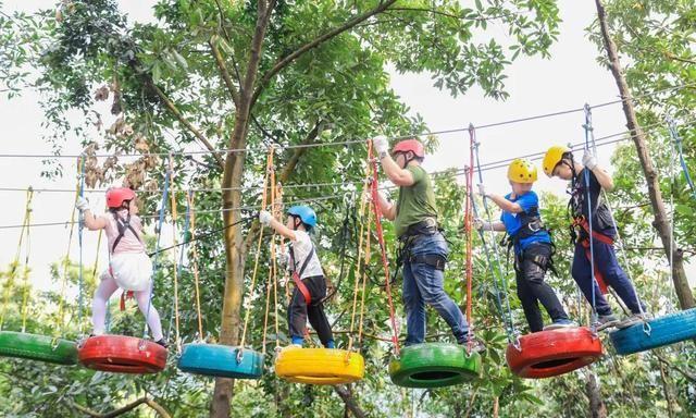 亲子游｜观音山溜娃指南：研学，登山，美食，森林童趣大冒险