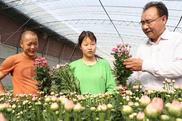 江苏东海县：幸福像“花儿”一样