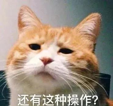 主人在猫咪面前哭诉没钱买小鱼干，猫咪献出私房钱笑翻众人