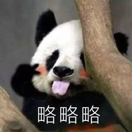 搞笑表情包系列：可爱的大熊猫已上线​