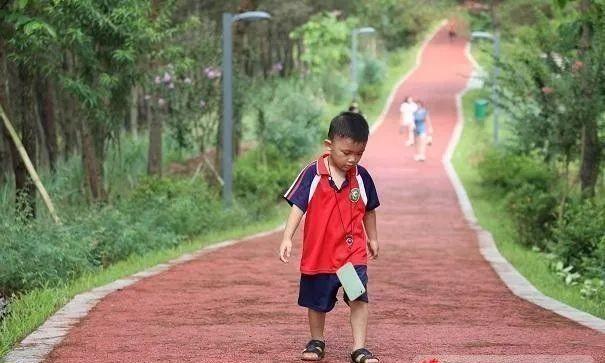 藤县腾飞在即 近年全县面貌发生了翻天覆地的变化