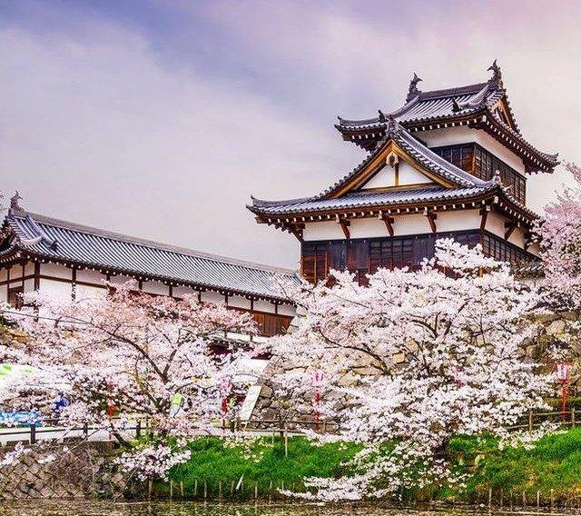 中日文化：那些出自我国《诗经》的日本名胜古迹