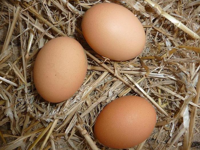 专家说：“轻症患者的食谱中有每天吃3~4个鸡蛋。”