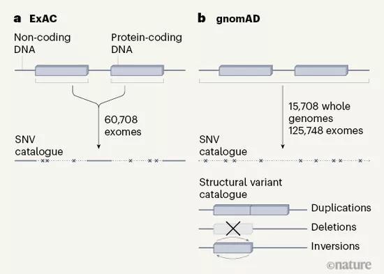 陈根：Nature重磅，基因组聚集数据集结