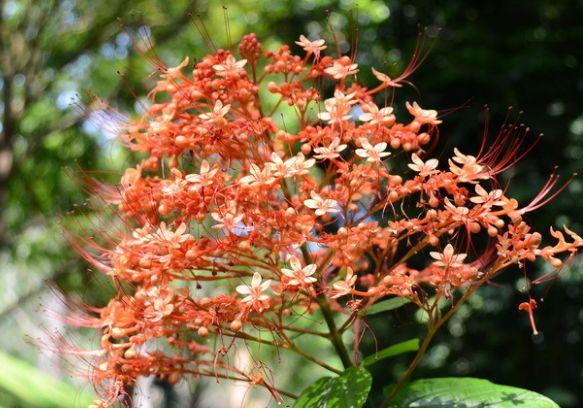 6月上旬运势节节高升，4属相喜讯不断，富贵来袭，生活更精彩