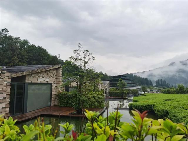 楚雄州文化和旅游局至腾冲考察半山酒店