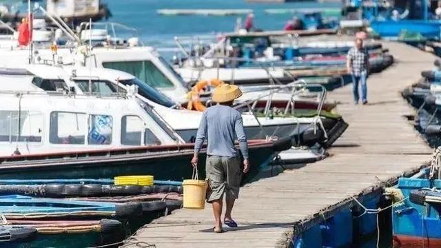 啥叫慵懒度假？奢华海岛吃住玩！发呆都没人打扰那种