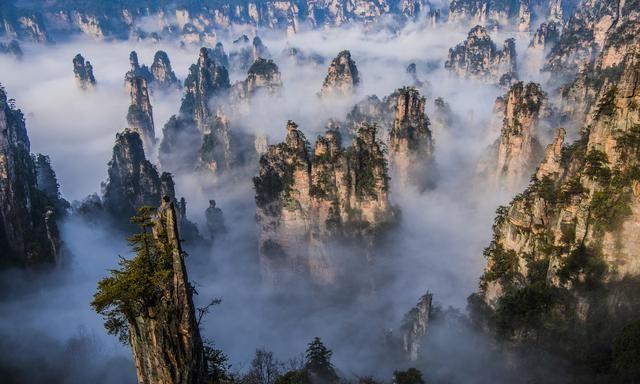 中国这些最美名山，你去了哪些？