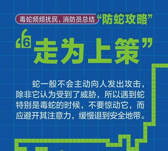 紧急提醒！合肥大蜀山发现罕见大蛇！市民注意