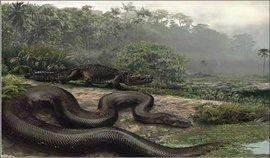 世界上十大蟒蛇排行榜，最长可达15米，重1134公斤！​