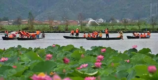 夏天太热，去普者黑看荷花打水仗 从头湿到脚的凉爽