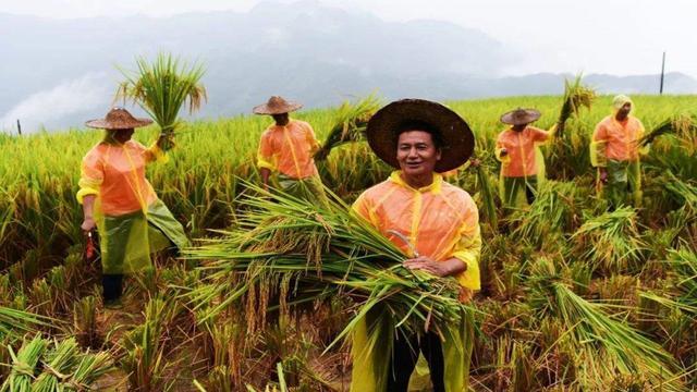 农村老年人没交养老保险，凭什么领取养老金？只能说你太年幼无知