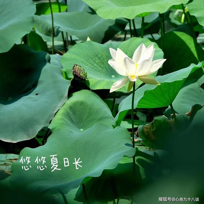 【记录北京】藏在车水马龙的二环边上潭西胜境公园