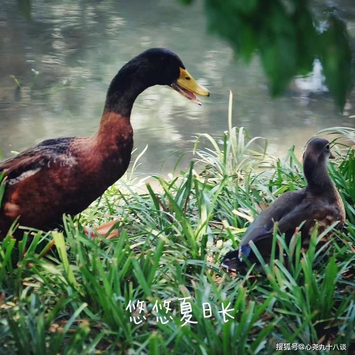 【记录北京】藏在车水马龙的二环边上潭西胜境公园