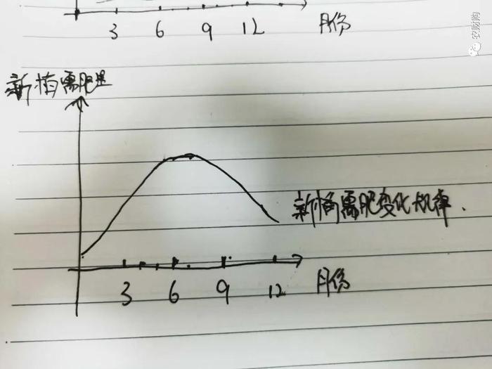 6月非要施肥吗？当下施肥究竟为了稳果还是壮果？