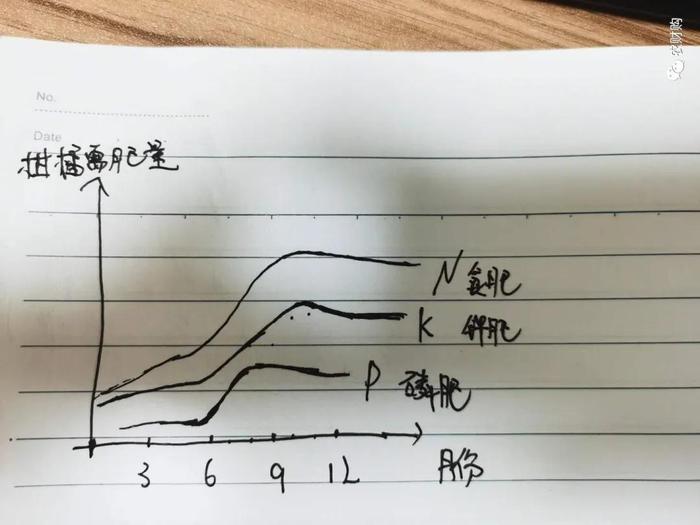 6月非要施肥吗？当下施肥究竟为了稳果还是壮果？