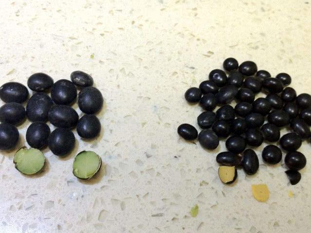黑豆跟它“泡”在一起，男人每天吃两口，护肝强肾，早食早受益！