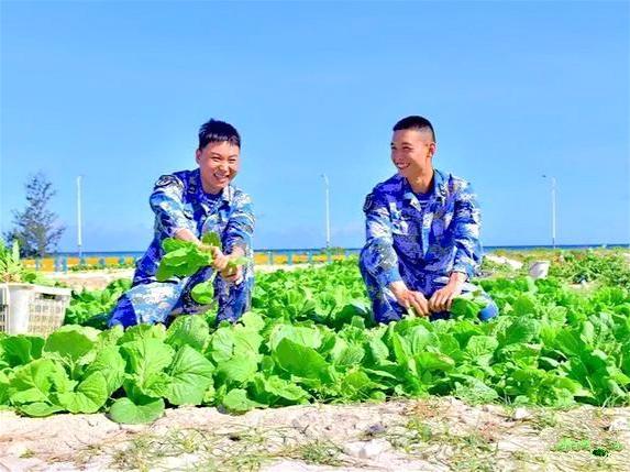 三沙市永兴岛，荒滩变绿洲良田，中国人种菜天赋再次点亮！