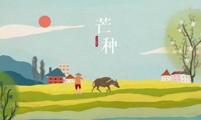 8首芒种诗词，一分耕耘一分收获，一场人生一场圆满