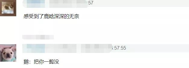 鹿晗这次又押错了宝？网剧二番搭影帝，朱亚文出演同系列剧都扑了