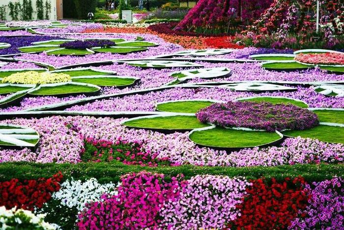 世界上最大的花园，总共拥有2.5亿株植物，每年只对外开放6个月