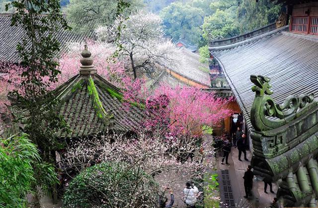 浙江台州天台山与舟山普陀山，同为5A级景区,哪个景区更值得来呢